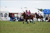 UKPA  NC Sat_1137